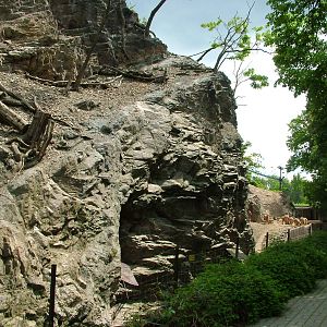 Barbary Sheep and Macaque exhibit at Prague, 24/05/10