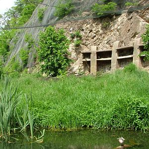 Walkthrough aviary at Prague, 24/05/10