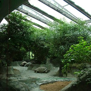 Giant Tortoise Pavilion at Prague, 24/05/10