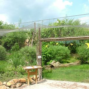 Small cat exhibit at Prague, 24/05/10