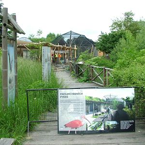 Wetland Bird Pavilion remodelling at Prague, 24/05/10