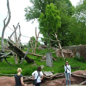 Outdoor Gorilla exhibit at Prague, 24/05/10