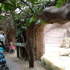 Indoor Gorilla exhibit at Prague, 24/05/10