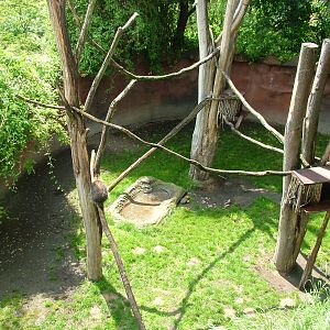 Porcupine exhibit at Prague, 24/05/10