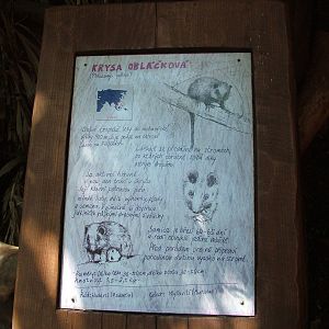 Signage Example at Prague, 24/05/10