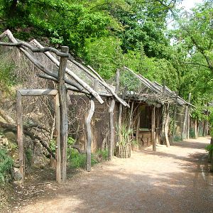 Small Parrot aviaries at Prague, 24/05/10