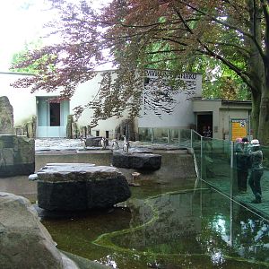 Penguin Pool at Prague, 24/05/10