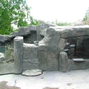 Slender Mongoose exhibit at Prague, 24/05/10