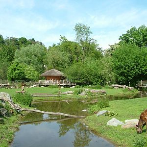 African Wetlands area at Prague, 24/05/10