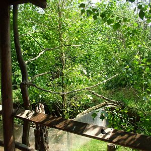 European bird aviary at Prague, 24/05/10