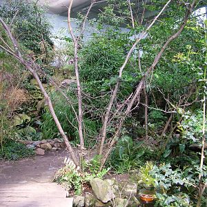 Szechuan Pavilion interior at Prague, 24/05/10