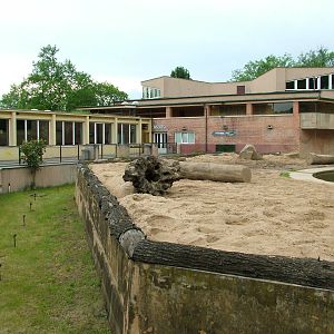 Asian Elephant house and paddock at Prague, 24/05/10