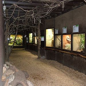 Elephant House Terrarium at Prague, 24/05/10