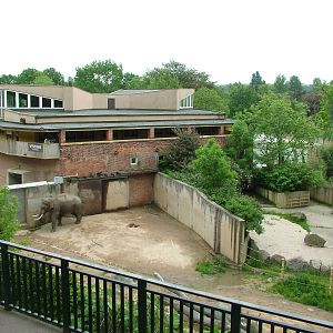Asian Elephant and Common Hippo paddocks at Prague, 24/05/10