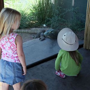 children with komodo dragon
