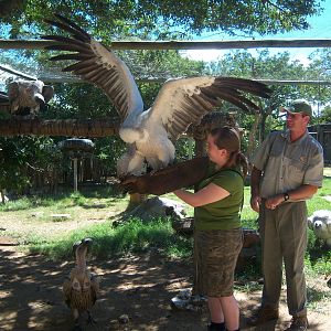 Moholoholo rehabilitation centre