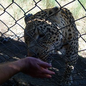 Moholoholo rehabilitation centre