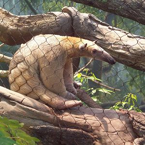 I'm Cute as Can Be, You Must Love Me!