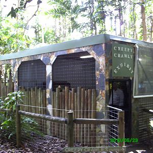 Creepy Crawly exhibit