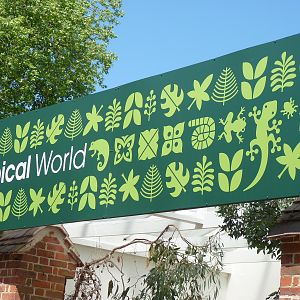 New Tropical World Signage