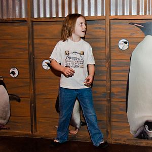 Penguin Size Comparison