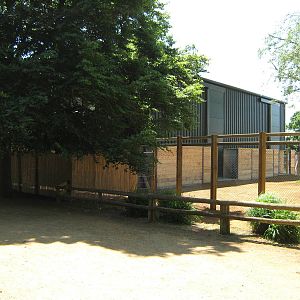 Giraffe house and front of the paddock 3.6.10