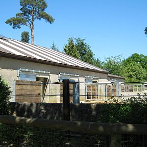 Rhino yard and house