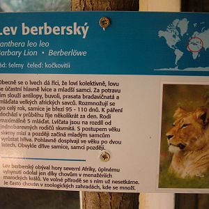 Signage example at Plzen, 25/05/10