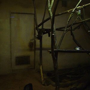 Nocturnal House mixed exhibit at Plzen, 25/05/10