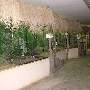 African Nocturnal House interior at Plzen, 25/05/10