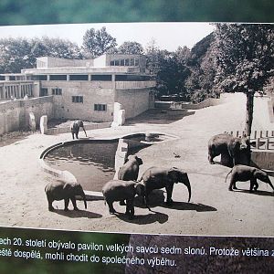 Elephant house at Prague zoo