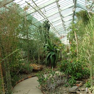 Cactus and Reptile House at Plzen, 25/05/10