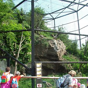 Flight aviary at Plzen, 25/05/10