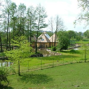 View to new Hippo/Cheetah House at Plzen, 25/05/10