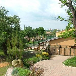 African Stables at Plzen, 25/05/10