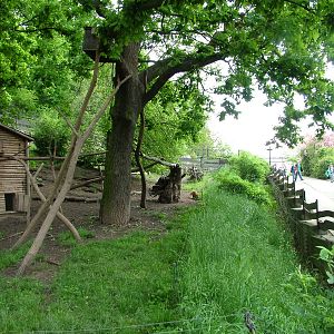 Mixed South American exhibit at Plzen, 25/05/10