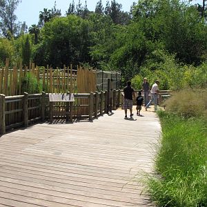 Path Through Elephants of China Viewing Area