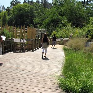 Path Through Elephants of China Viewing Area