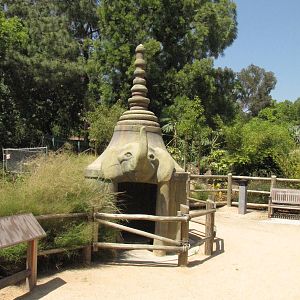 Path Through Elephants of China Viewing Area