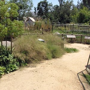 Elephants of China - Pachyderm Forest