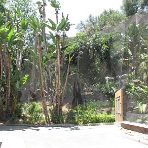 One of Two Large Walk-Through Aviaries
