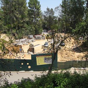 Reptile, Amphibian, and Insect Center Construction Site
