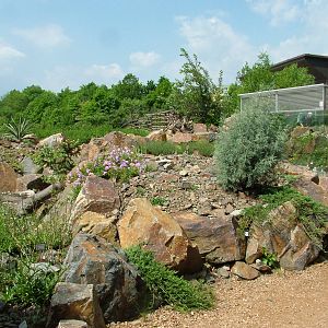 Sonora Garden at Plzen, 25/05/10