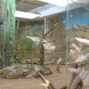 Sonora Building at Plzen, 25/05/10