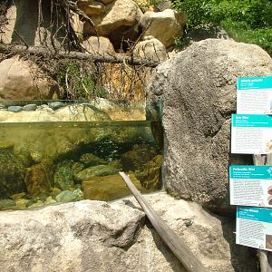 Czech River exhibit at Plzen, 25/05/10