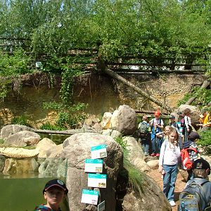 Czech River exhibit at Plzen, 25/05/10