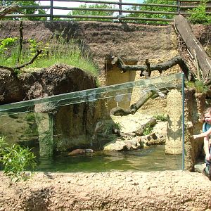 Czech River exhibit at Plzen, 25/05/10