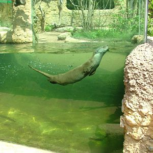 Czech River exhibit at Plzen, 25/05/10