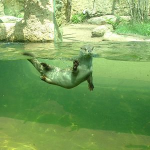 Czech River exhibit at Plzen, 25/05/10