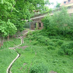 Tiger exhibit at Plzen, 25/05/10